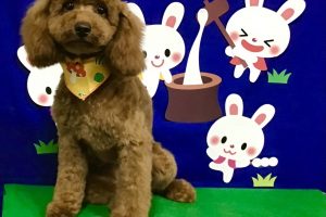 ９月のお友達☆