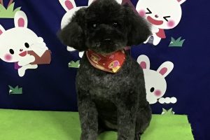 9月のお友達☆