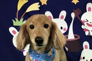 9月のお友達☆
