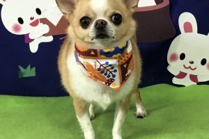 9月のお友達☆