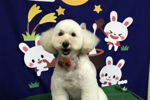 ９月のお友達☆
