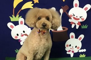 ９月のお友達☆