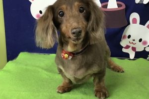 9月のお友達☆