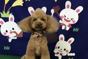 9月のお友達☆