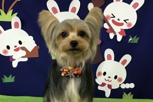 9月のお友達☆