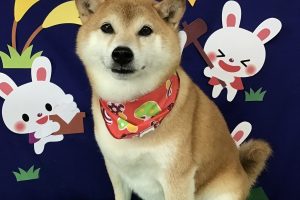 9月のお友達☆