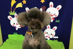 9月のお友達☆