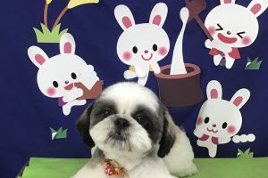 ９月のお友達☆