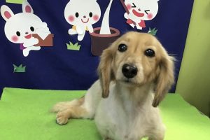9月のお友達☆