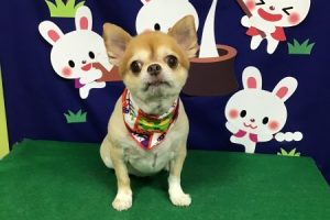 9月のお友達☆