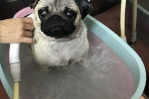 ９月のお友達☆