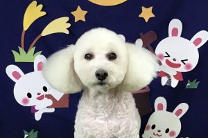 9月のお友達☆