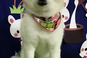 9月のお友達☆