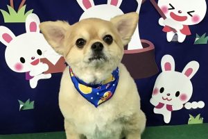9月のお友達☆
