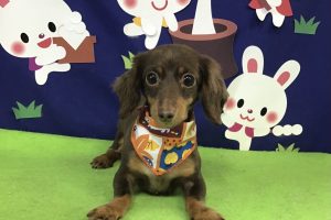 9月のお友達☆