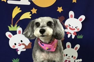 ９月のお友達☆