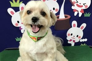 ９月のお友達☆