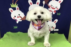 ９月のお友達☆
