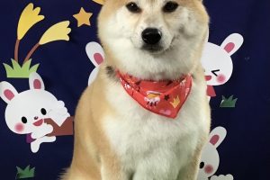 9月のお友達☆