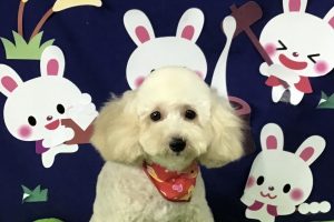 9月のお友達☆
