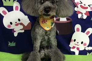 9月のお友達☆
