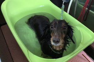 ９月のお友達☆