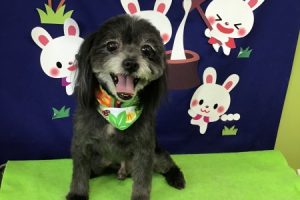 ９月のお友達☆