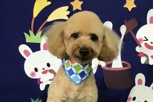 9月のお友達☆
