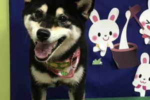 9月のお友達☆