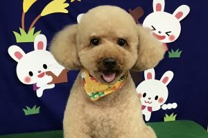 ９月のお友達☆