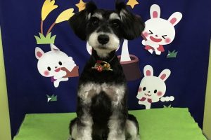 9月のお友達☆