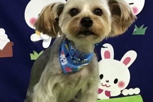 9月のお友達☆