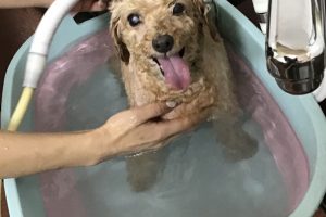 ９月のお友達☆