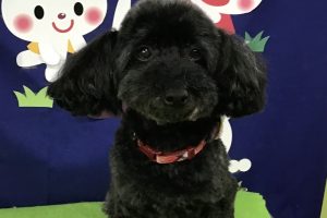 9月のお友達☆