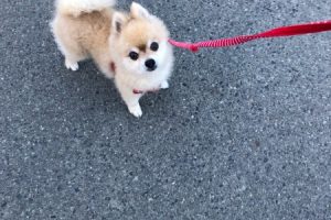 お泊り☆