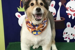 9月のお友達☆