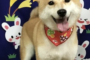 9月のお友達☆