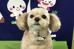 9月のお友達☆
