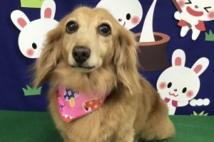 ９月のお友達☆