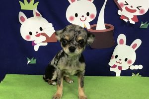 9月のお友達☆
