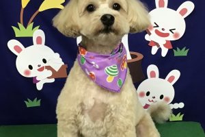 ９月のお友達☆