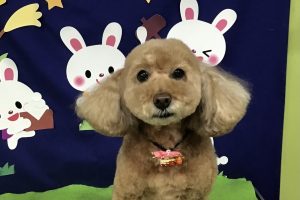 ９月のお友達☆