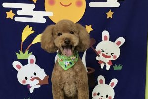 9月のお友達☆