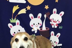 9月のお友達☆