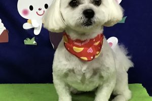 9月のお友達☆