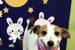 9月のお友達☆