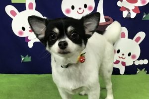 9月のお友達☆