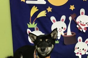 9月のお友達☆