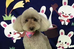 9月のお友達☆