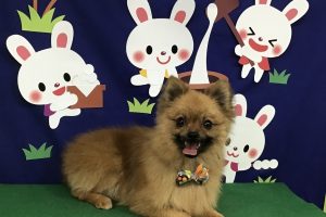 9月のお友達☆
